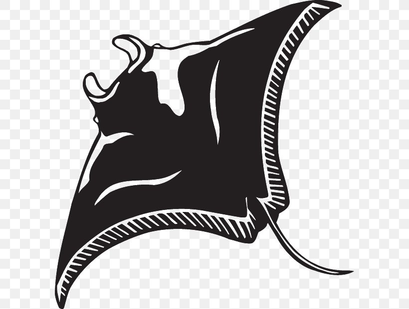 Giant Oceanic Manta Ray Myliobatoidei Batoidea Clip Art, PNG, 600x621px, Giant Oceanic Manta Ray, Animal, Batoidea, Black, Black And White Download Free