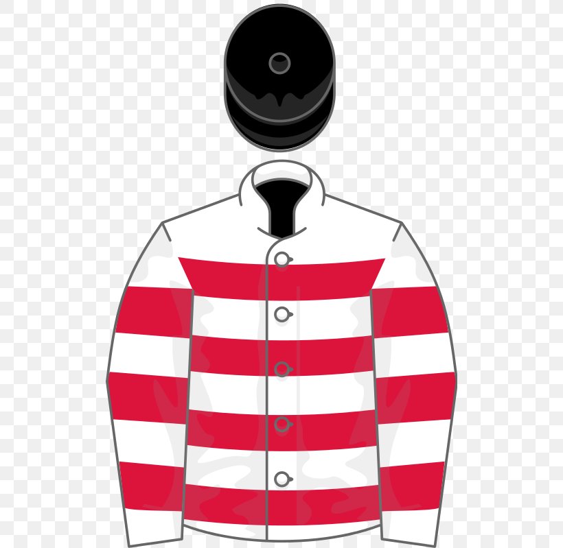 Jacket T-shirt Sleeve Fred Winter Juvenile Novices' Handicap Hurdle Horse Racing, PNG, 512x799px, Jacket, Champion Hurdle, Horse, Horse Racing, Hurdle Download Free