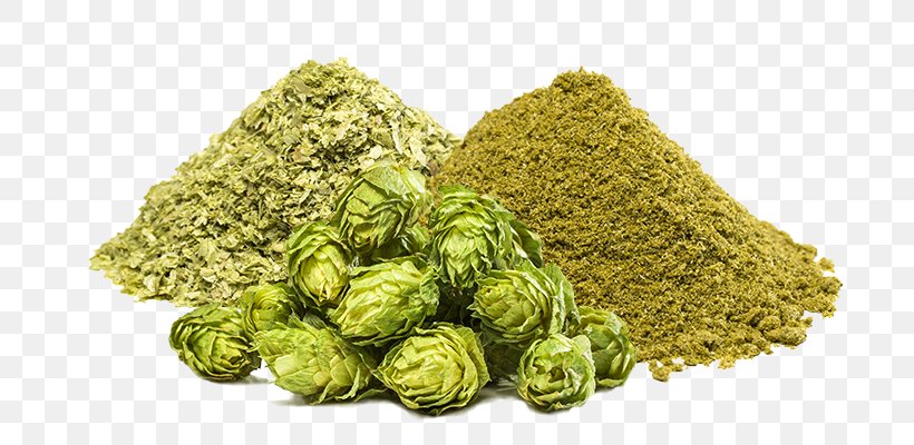 Beer Brewing Grains & Malts Stout Saison Hops, PNG, 730x400px, Beer, Beer Brewing Grains Malts, Beer Festival, Brewery, Common Hop Download Free