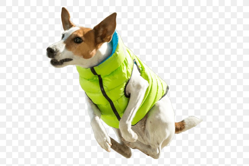 Dog Breed Jacket Waistcoat Gilets, PNG, 561x546px, Dog Breed, Clothing, Collar, Companion Dog, Dog Download Free