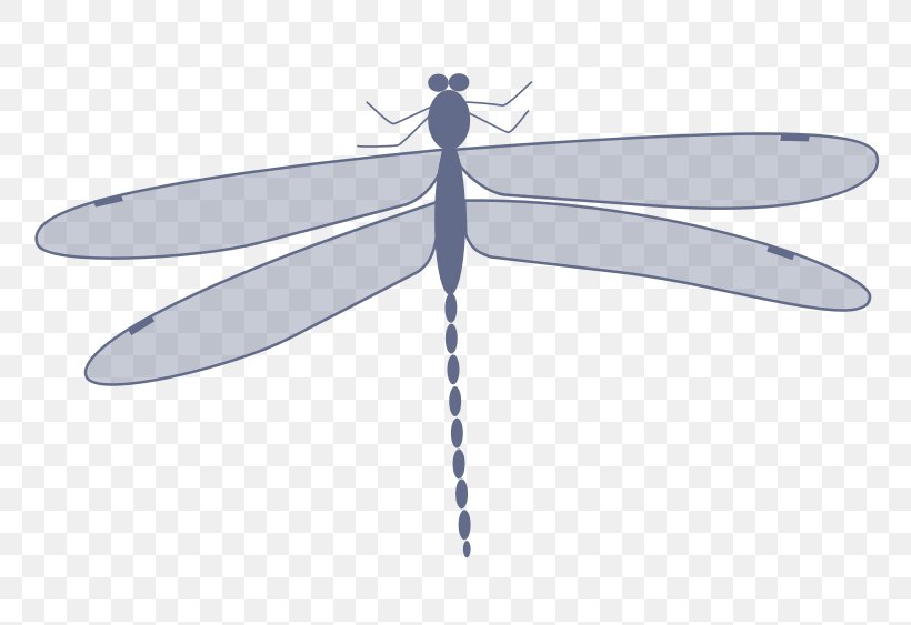 Dragonfly Clip Art, PNG, 800x563px, Dragonfly, Animated Film, Arthropod, Dragonflies And Damseflies, Drawing Download Free