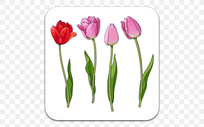 Drawing Tulip Royalty-free, PNG, 512x512px, Drawing, Bud, Can Stock Photo, Cut Flowers, Floristry Download Free