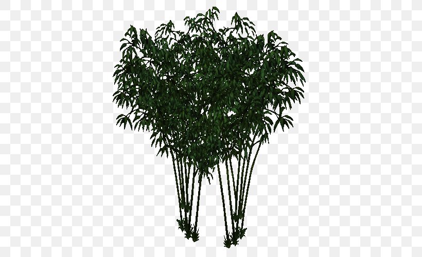 Tree Shrub Plant Flowerpot Arecales, PNG, 500x500px, Tree, Arecales, Branch, Branching, Flowerpot Download Free