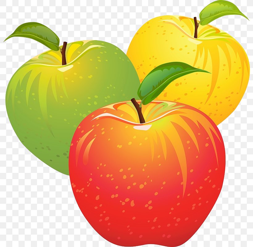 Candy Apple Fruit Salad Clip Art, PNG, 800x800px, Apple, Candy Apple, Food, Fruit, Fruit Salad Download Free