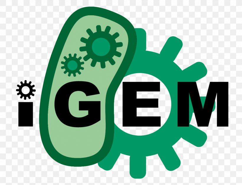 International Genetically Engineered Machine Synthetic Biology Genetic Engineering Organization, PNG, 1200x918px, Synthetic Biology, Biology, Brand, Competition, Engineering Download Free