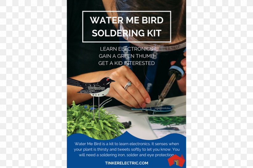 Water Me Song Bird Plant, PNG, 855x570px, Water Me, Advertising, Bird, Instructables, Plant Download Free
