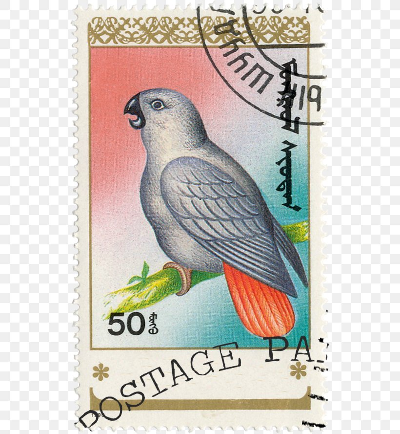 Germany Parrot Bird Postage Stamps Paper, PNG, 532x888px, Germany, Advertising, Beak, Bird, Bird Supply Download Free