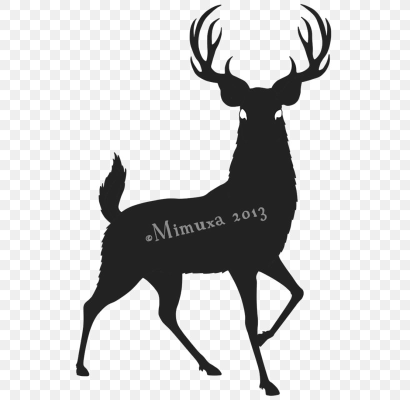 White-tailed Deer Reindeer Red Deer Hunting, PNG, 544x800px, Deer, Antler, Biggame Hunting, Black And White, Deer Hunting Download Free