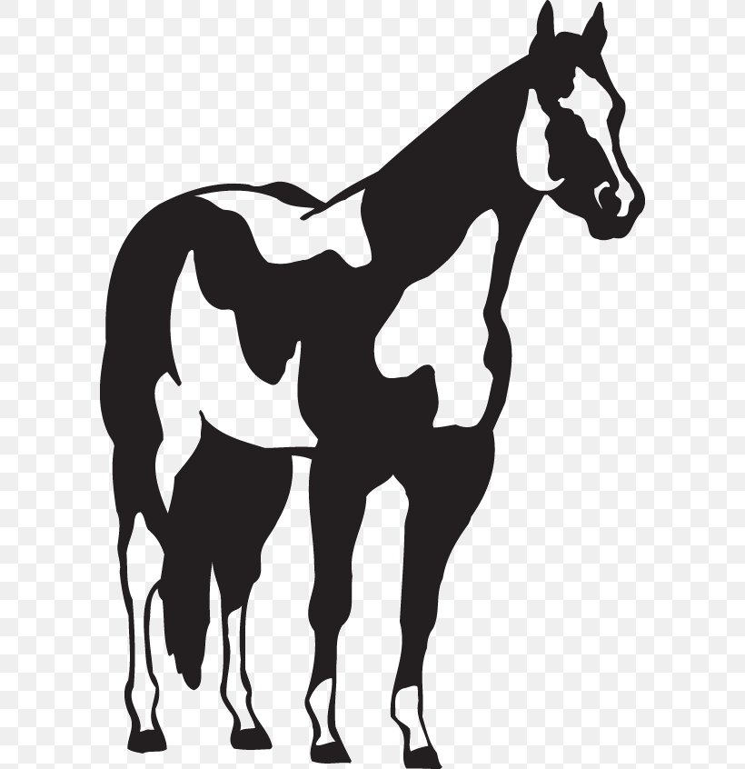 American Paint Horse American Quarter Horse Pony Decal Sticker, PNG, 600x846px, American Paint Horse, American Paint Horse Association, American Quarter Horse, Barrel Racing, Black Download Free