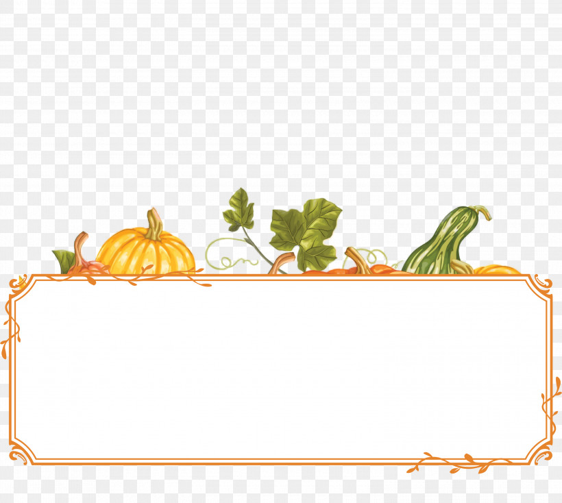 Blank Thanksgiving Harvest Banner Thanksgiving Banner, PNG, 3000x2688px, Thanksgiving Banner, Flower, Fruit, Geometry, Line Download Free