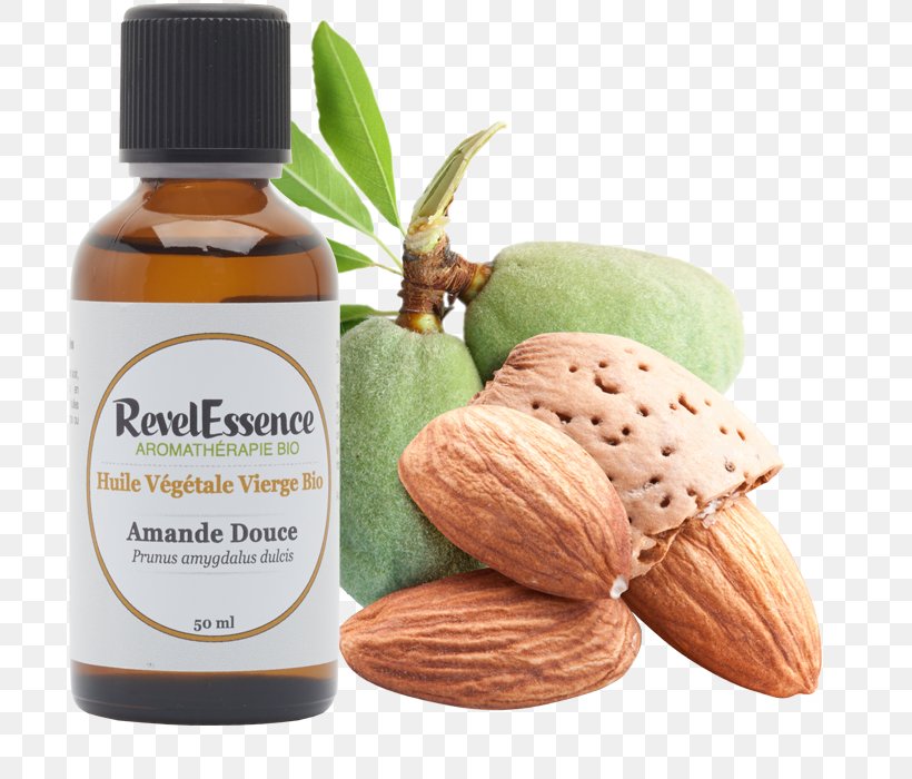 Almond Oil Walnut Vegetable Oil, PNG, 700x700px, Almond, Almond Meal, Almond Oil, Benzaldehyde, Cuticule Download Free