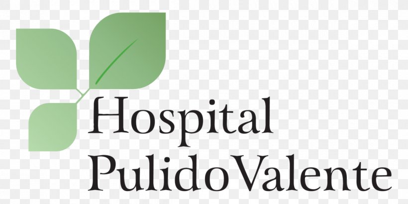 Hospital Pulido Valente Logo Hospital De Santa Maria Font, PNG, 1200x600px, Logo, Area, Brand, Grass, Green Download Free