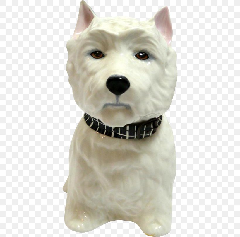 West Highland White Terrier Dog Breed Companion Dog Snout, PNG, 809x809px, West Highland White Terrier, Breed, Carnivoran, Companion Dog, Dog Download Free