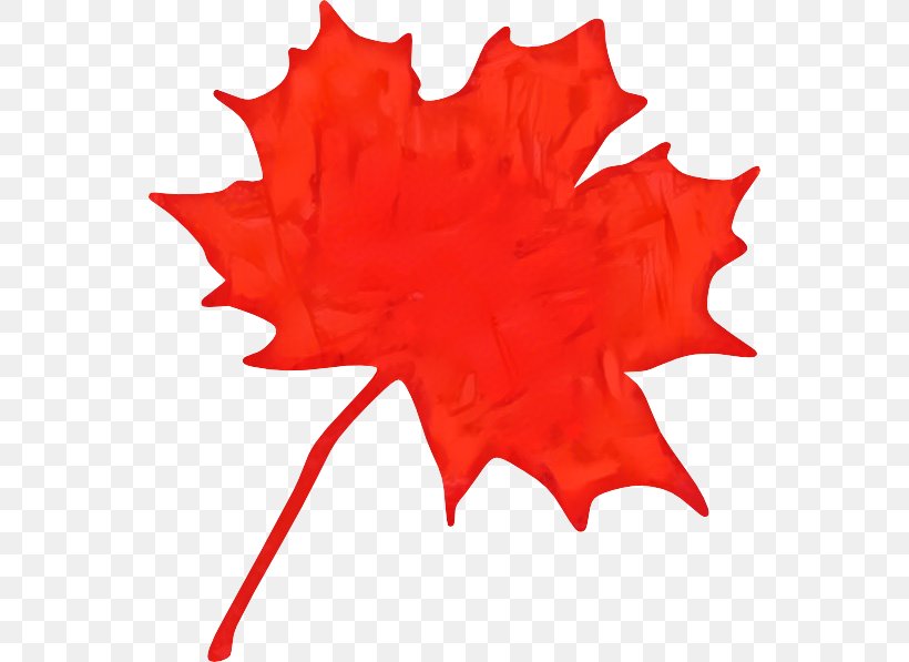 Clip Art Maple Leaf Vector Graphics, PNG, 552x597px, Maple Leaf, Autumn Leaf Color, Black Maple, Canada, Green Download Free