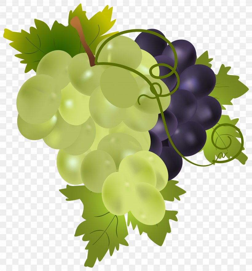 Grape Fruit Clip Art, PNG, 7448x8000px, Wine, Common Grape Vine, Flowering Plant, Food, Fruit Download Free