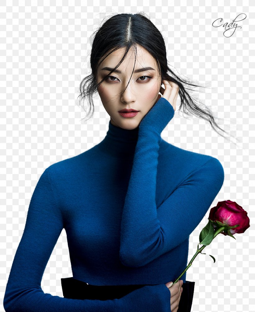 Hye-rim Park Model Fashion Photography Harper's Bazaar, PNG, 900x1102px, Watercolor, Cartoon, Flower, Frame, Heart Download Free