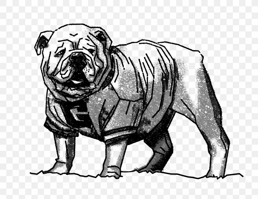 Bulldog UGA Arch Dog Breed University, PNG, 1500x1159px, Bulldog, Art, Artwork, Athens, Black And White Download Free