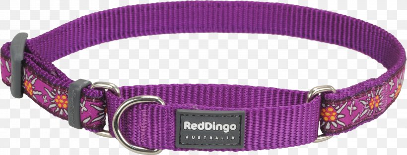 Clothing Accessories Dog Collar Watch Strap, PNG, 3000x1152px, Clothing Accessories, Collar, Dog, Dog Collar, Fashion Download Free