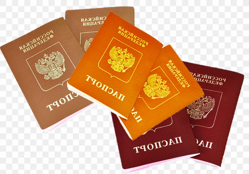 Czech Republic Passport, PNG, 1000x700px, Czech Republic, Designer, Dominican Republic Passport, Passport, Republic Download Free
