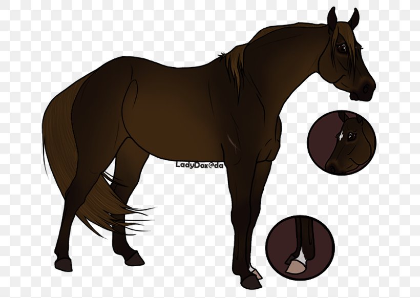 Horse Rein Stallion Mare Pony, PNG, 718x582px, Horse, Bit, Bridle, Colt, Equestrian Download Free