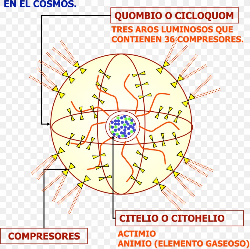 Line Point Diagram Organism, PNG, 1600x1590px, Point, Area, Diagram, Organism, Parallel Download Free