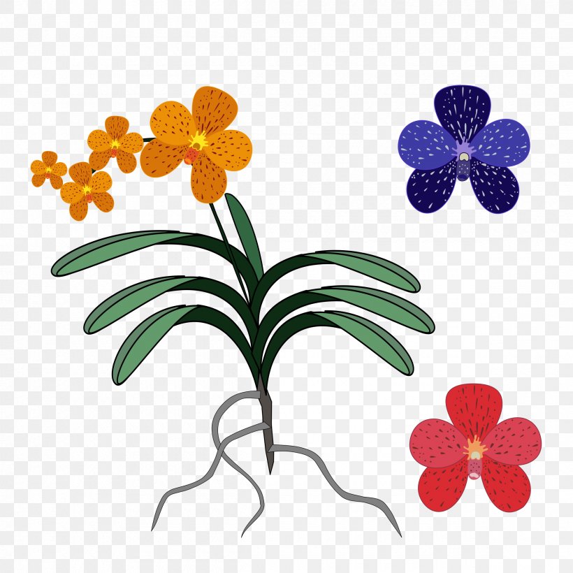 Orchids Singapore Orchid Clip Art, PNG, 2400x2400px, Orchids, Art, Artwork, Cattleya Orchids, Cut Flowers Download Free