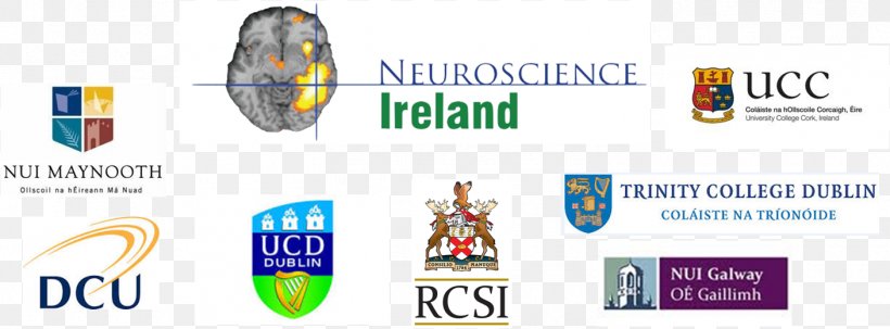 Royal College Of Surgeons In Ireland Logo Brand Technology, PNG, 1408x521px, Logo, Banner, Brand, Digital Data, Digital Learning Download Free