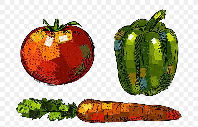 Bell Pepper Gourd Vegetable Drawing, PNG, 800x526px, Bell Pepper, Auglis, Bell Peppers And Chili Peppers, Capsicum Annuum, Carrot Download Free