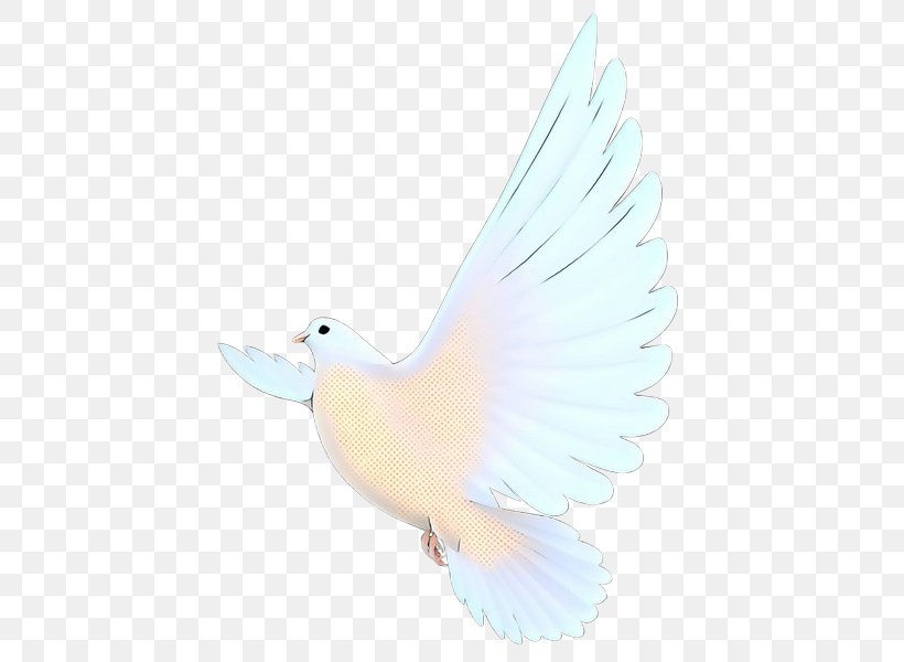 Dove Bird, PNG, 453x600px, Duck, Beak, Bird, Feather, Peace Download Free