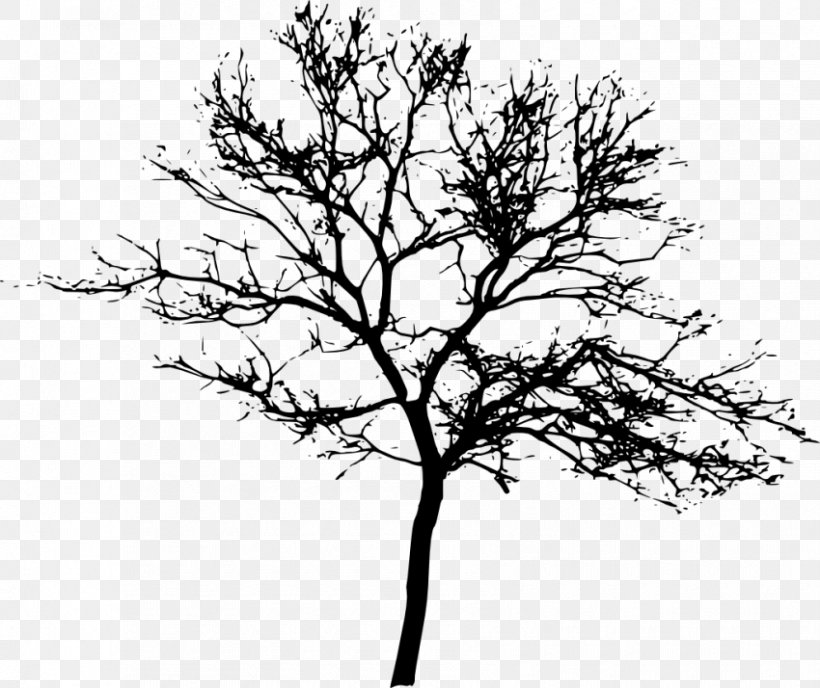 Tree Desktop Wallpaper Clip Art, PNG, 850x714px, Tree, Black And White, Branch, Display Resolution, Drawing Download Free
