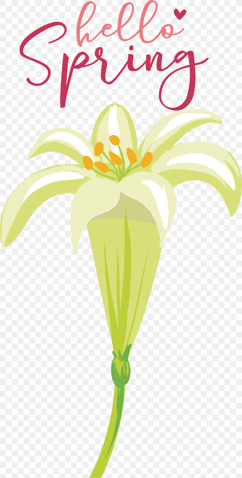 Floral Design, PNG, 1549x3050px, Plant Stem, Cut Flowers, Floral Design, Flower, Line Download Free