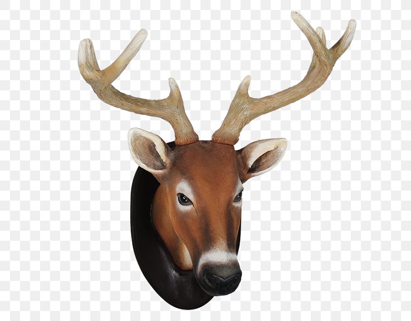 Reindeer Elk White-tailed Deer Antler, PNG, 640x640px, Deer, Animal, Antler, Elk, Horn Download Free