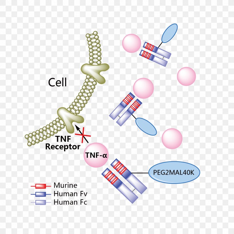 Risankizumab Crohn's Disease Psoriasis Ranibizumab Guselkumab, PNG, 1418x1418px, Crohns Disease, Body Jewelry, Certolizumab Pegol, Diagram, Interleukin 6 Download Free