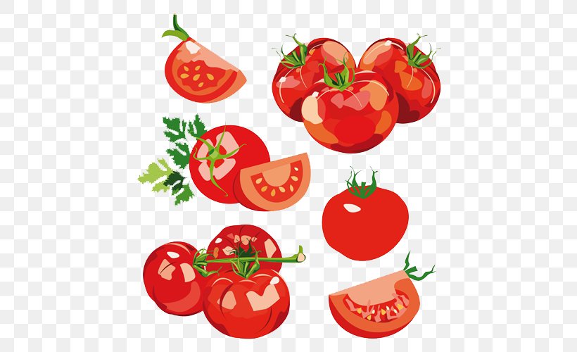 Vegetable Salad Tomato Clip Art, PNG, 500x500px, Vegetable, Apple, Bell Peppers And Chili Peppers, Capsicum, Cucumber Download Free