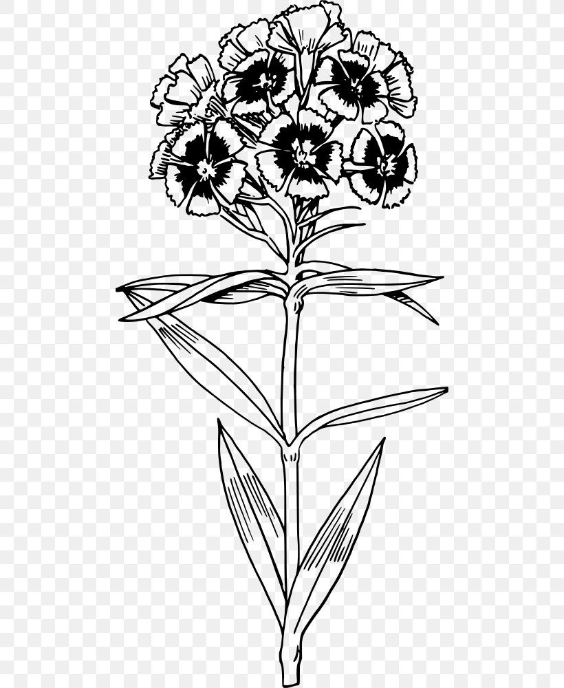 Floral Design Drawing Line Art, PNG, 484x1000px, Floral Design, Art, Black And White, Blackandwhite, Botany Download Free