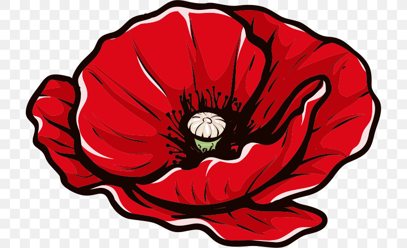 Red Poppy Flower Poppy Flower, PNG, 717x499px, Red Poppy Flower, Cut Flowers, Flower, Petal, Poppy Flower Download Free