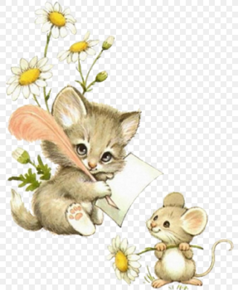 Kitten Cat Mouse Animal Illustrations Clip Art, PNG, 800x999px, Kitten, Animal Illustrations, Art, Calico Cat, Carnivoran Download Free
