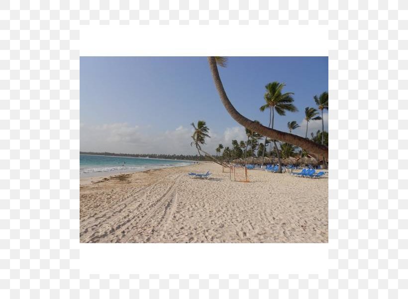 Shore Caribbean Sea Beach Land Lot, PNG, 800x600px, Shore, Area, Beach, Caribbean, Coast Download Free