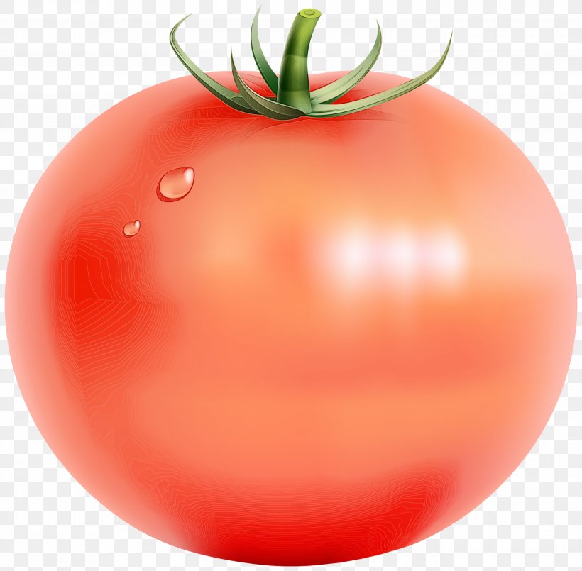 Tomato Cartoon, PNG, 3000x2948px, Plum Tomato, Bush Tomato, Cherry Tomatoes, Diet, Diet Food Download Free