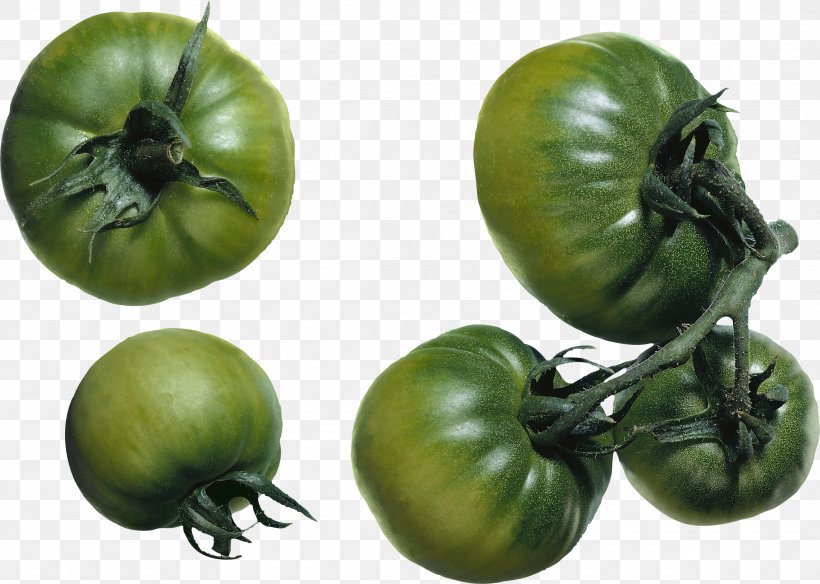 Tomato, PNG, 2281x1627px, Green Zebra, Bush Tomato, Food, Fried Green Tomatoes, Fruit Download Free