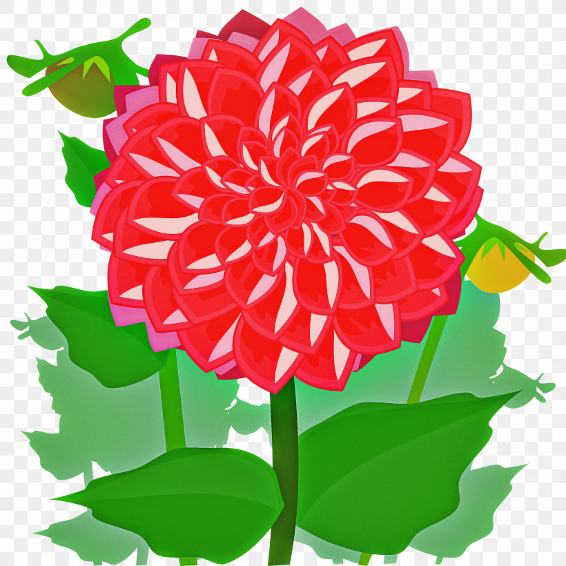 Flower Plant Dahlia Petal Carnation, PNG, 2400x2400px, Flower, Carnation, Cut Flowers, Dahlia, Petal Download Free