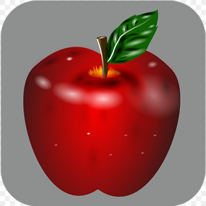 Fruits And Vegetables For Kids Learn Fruits Animation, PNG, 1024x1024px, Fruits And Vegetables For Kids, Accessory Fruit, Acerola, Acerola Family, Android Download Free