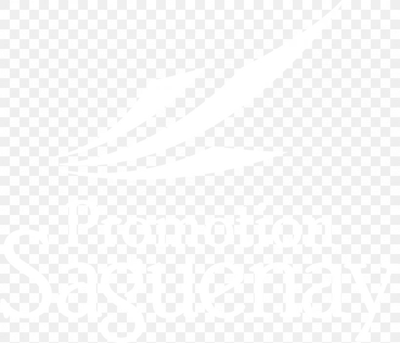 Spa Promotion - Lyft Washington, D.C. Business Hotel Uber PNG