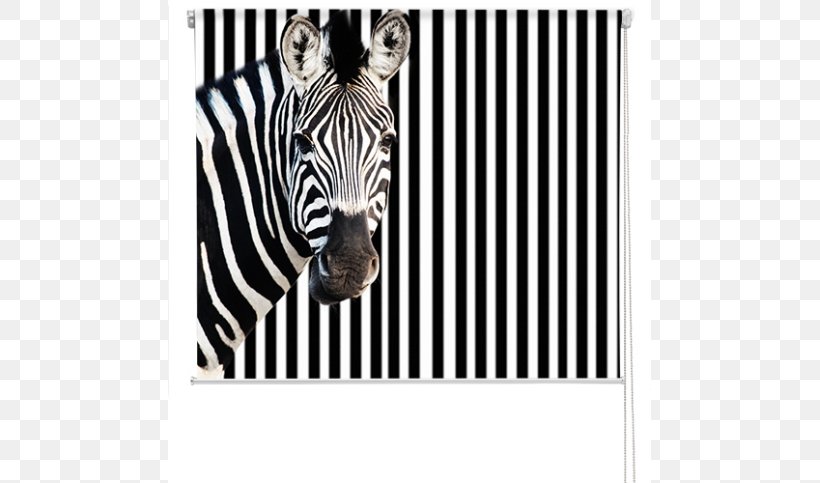Printing Zebra Business Photograph Poster, PNG, 591x483px, Printing, Advertising, Animal Print, Art, Black Download Free
