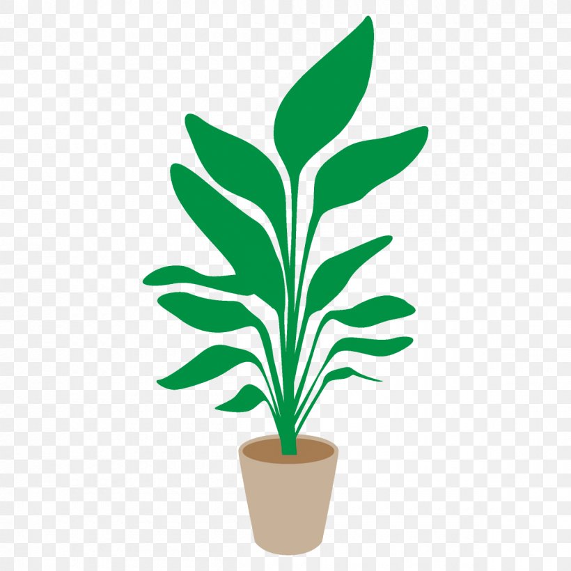 Flowerpot Plant Houseplant Leaf Flower, PNG, 1200x1200px, Flowerpot, Flower, Flowering Plant, Green, Houseplant Download Free