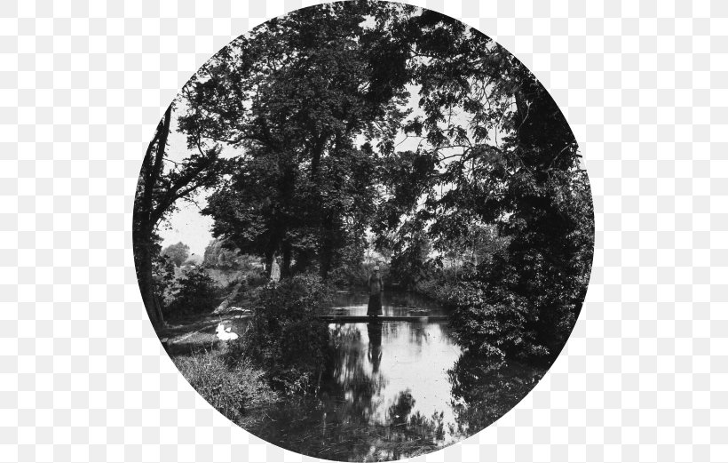 River Thames Marston Meysey Tree Google Slides White, PNG, 521x521px, River Thames, Bank, Black And White, Cloud Computing, Google Slides Download Free