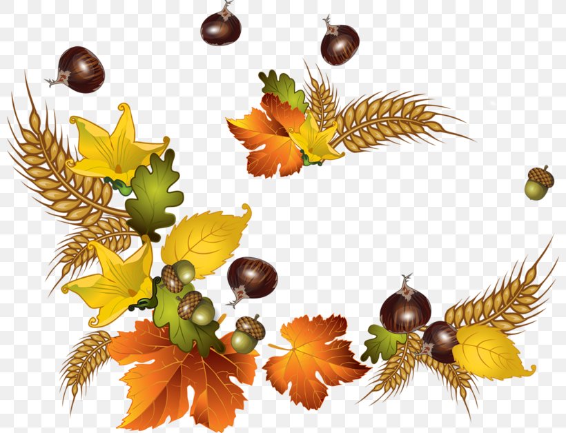 Autumn Paper Picture Frames, PNG, 800x628px, Autumn, Food, Fruit, Leaf, Message Download Free