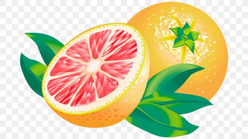 Blood Orange Grapefruit Juice Lemon Tangelo, PNG, 1600x900px, Blood Orange, Bitter Orange, Citric Acid, Citron, Citrus Download Free