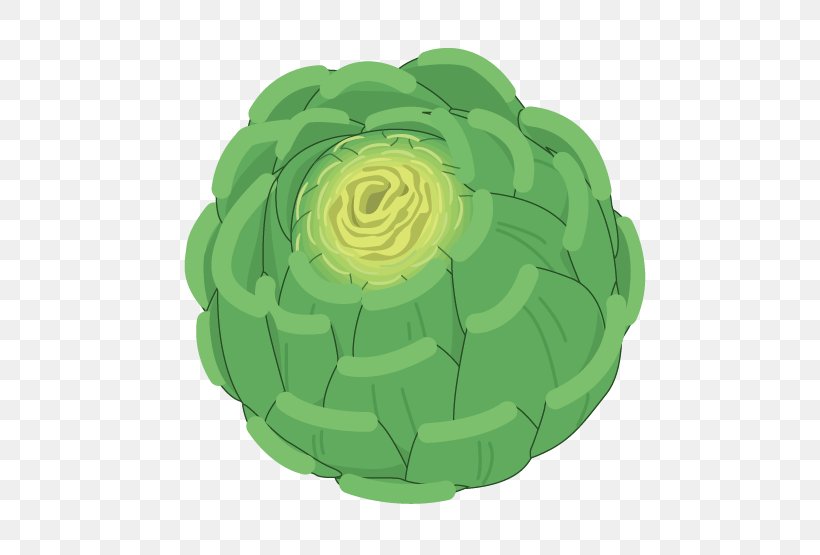 Cabbage Clip Art, PNG, 800x555px, Cabbage, Flower, Google Images, Green, Leaf Vegetable Download Free
