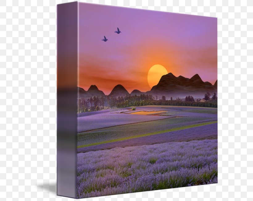 Desktop Wallpaper Flower Computer Dawn Sky Plc, PNG, 606x650px, Flower, Computer, Dawn, Landscape, Lavender Download Free